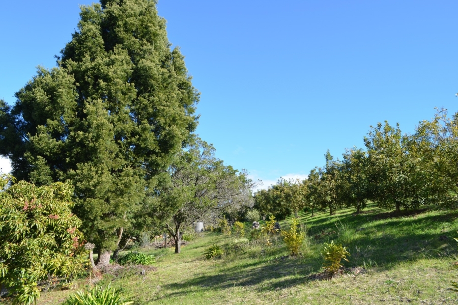0 Bedroom Property for Sale in Herbertsdale Western Cape